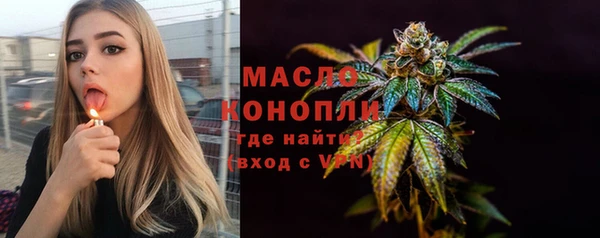 дурь Гусев
