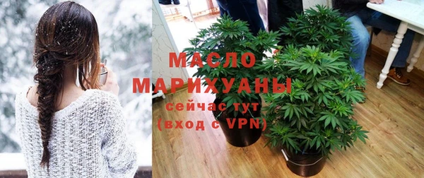 дурь Гусев