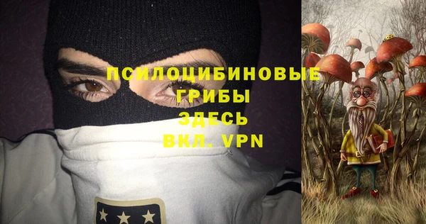 дурь Гусев