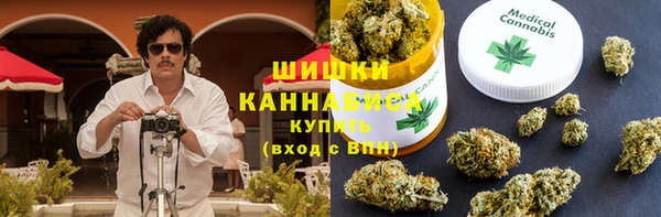 дурь Гусев