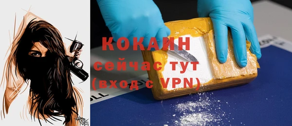 дурь Гусев