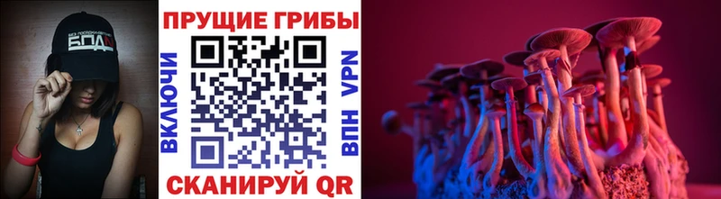 Псилоцибиновые грибы MAGIC MUSHROOMS  Москва 