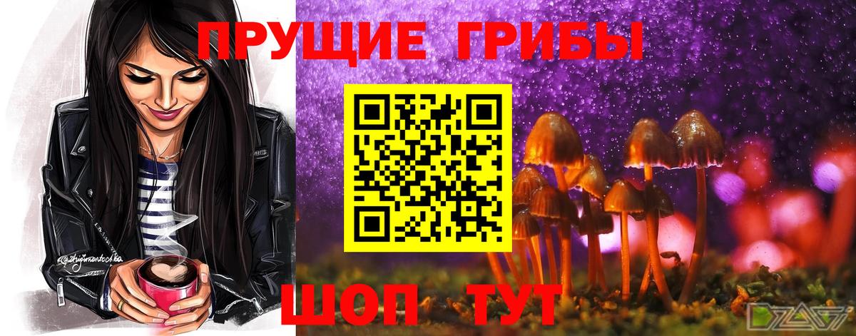 Галлюциногенные грибы Psilocybe  Галлюциногенные грибы Psilocybine cubensis  Вход с VPN  Москва 