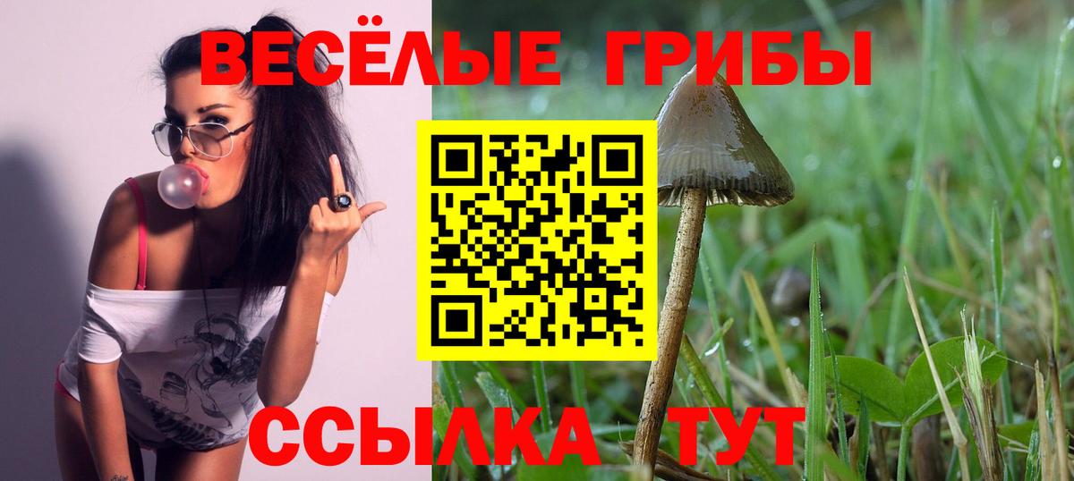 Галлюциногенные грибы Cubensis Москва